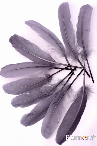 Oie - 15-21 cm - anthracite